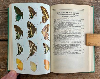 状態良好のヴィンテージ（1951年）アレクサンダー・B・クロッツ著「北アメリカの蝶類フィールドガイド」；ピーターソン・フィールドガイドシリーズ