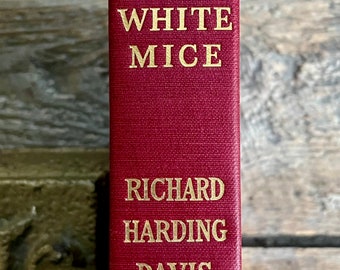 Wunderschöner, fast neuwertiger, früher antiker (1911) Druck von „The White Mice“ von Richard Harding Davis; Illustrationen von George Gibbs; Abenteuer!