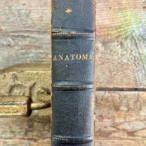 Puede incluir: Lomo de libro antiguo con la palabra "ANATOMY" en letras doradas. El libro tiene una cubierta de cuero azul oscuro con un patrón texturizado y detalles dorados. El título "COMPARATIVE" es visible en la parte inferior.