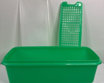 Recipiente para apio Tupperware Easy Crisp de color verde vintage, para verduras #782 783 784