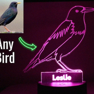Personalized Bird, pentacle bird, acrylic bird, bird toy, animal night light, kids night light, adult night light, clear glass bird