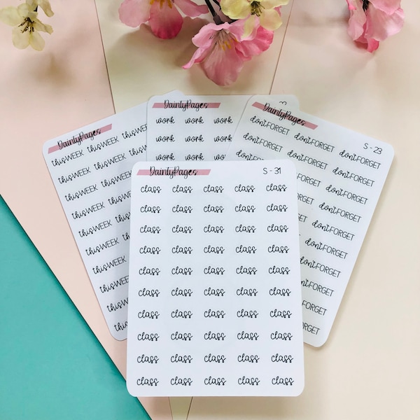 CLASS - Mini Script Stickers | Transparent Minimal Functional Planner Stickers | Bullet Journal | S-31