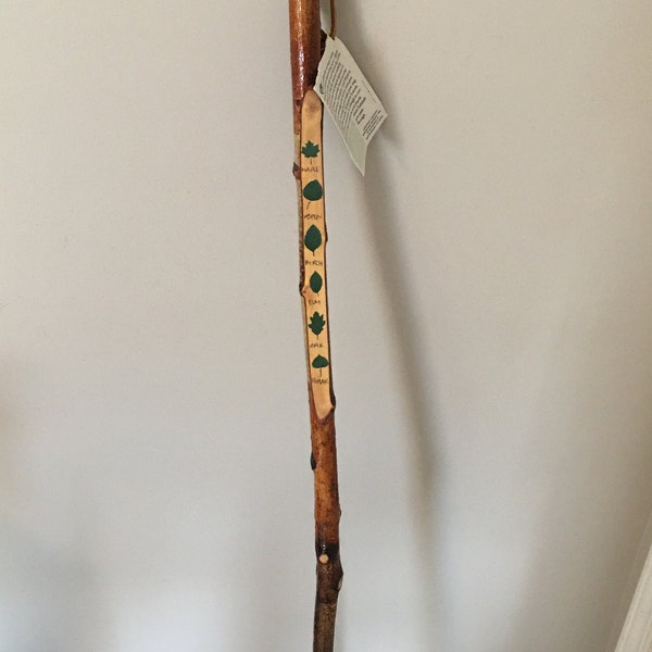 VTG Hand Carved & Painted Folk Art Leaf ID Guide Wood Walking Stick Cane by American Graffiti, Vermont. 52 inches Original Tags