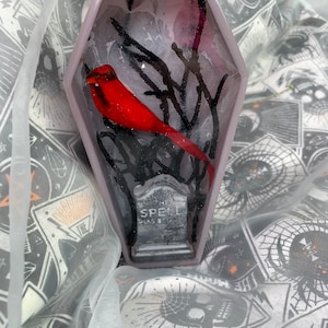 Cardinal coffin diorama