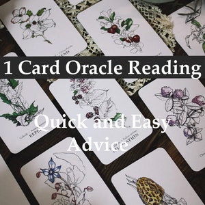 One Card Oracle Reading - Quick and Easy Advice