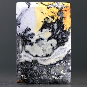 May include: A rectangular stone slab with a unique pattern. The stone features a blend of colors, including white, gray, black, and yellow. The design resembles a landscape with tree-like formations and speckled textures. The stone has a polished surface.