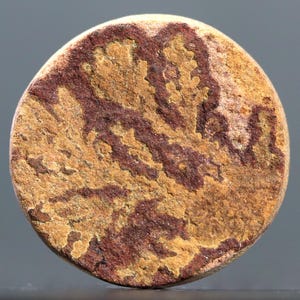 May include: A circular stone with a textured surface and a mottled pattern. The stone displays a mix of tan and reddish-brown hues, giving it a natural, earthy look. The design resembles a map or abstract landscape.