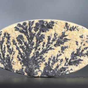 Dendritic Limestone Cabochon Germany Psilomelane Natural Stone