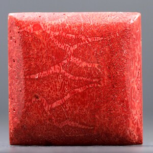 May include: A square, polished coral stone with a vibrant red hue. The surface displays intricate patterns and textures, creating a unique and natural aesthetic. This decorative stone is ideal for jewelry making or display.