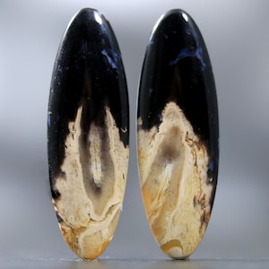 Petrified Palm Root Cabochon Elongated Oval Earring Gemstone Earth Tone Jewelry Design