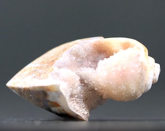 化石化した貝殻のドゥルージーカボション、キラキラ光る結晶のある