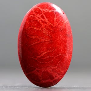 May include: An oval-shaped cabochon gemstone with a vibrant red color and a distinct, intricate branching pattern in a lighter shade of red. The surface is smooth and polished, showcasing a natural texture that resembles organic coral structures.
