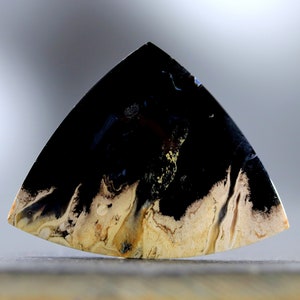 Petrified Wood Cabochon Polished Palm Root Fossil Earth Tone Jewelry Supply
