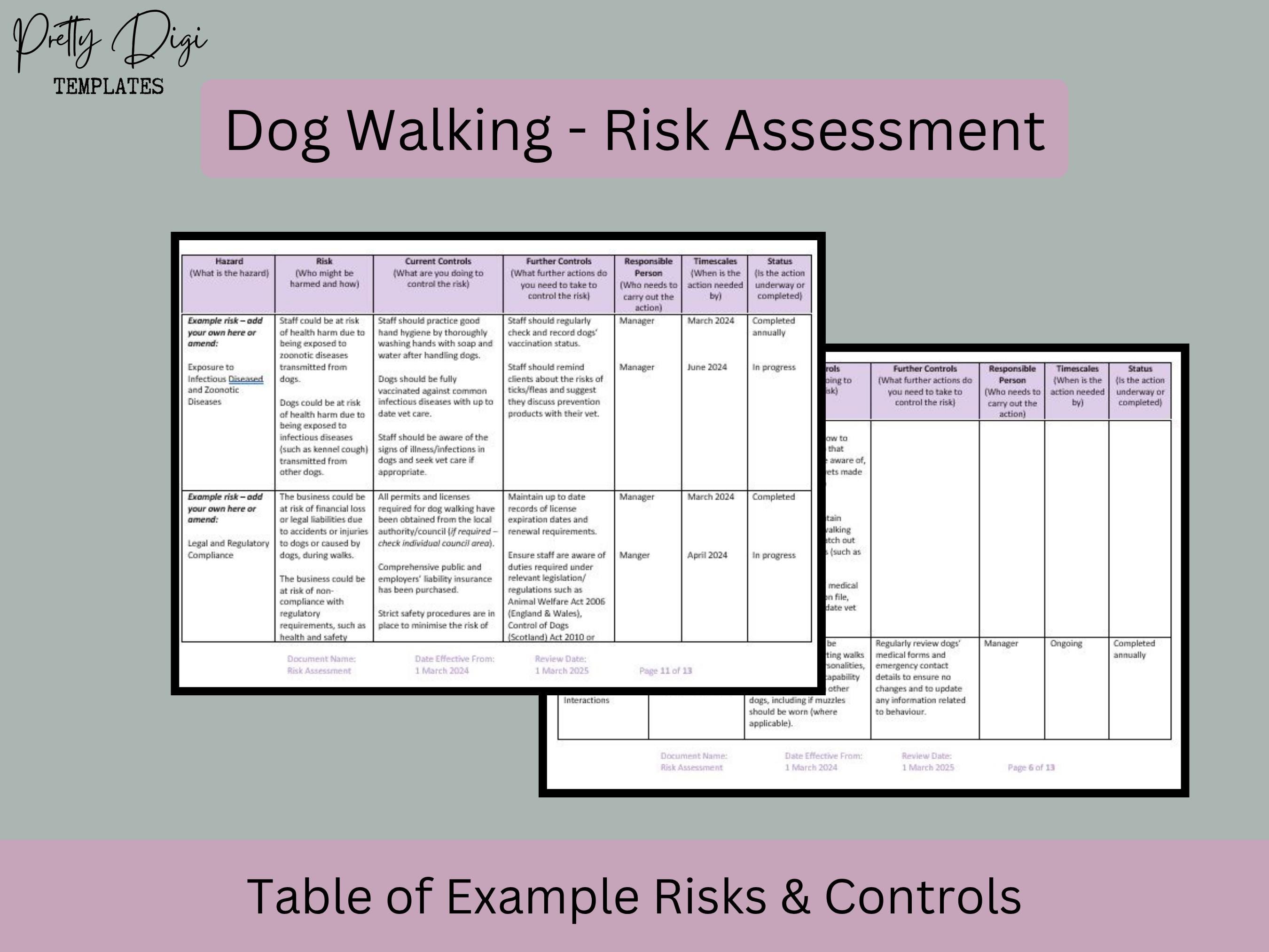 Walk Risk Assessment Dog Walking Risk Assessment Template: Hazards & Controls (word Document ...