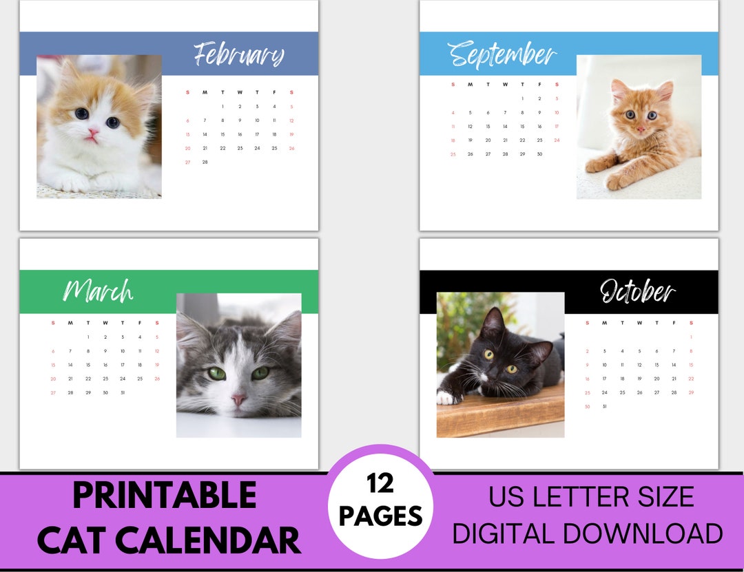 2024 Cat Printable Calendar, 2024 Printable Cat Calendar, Printable Cat