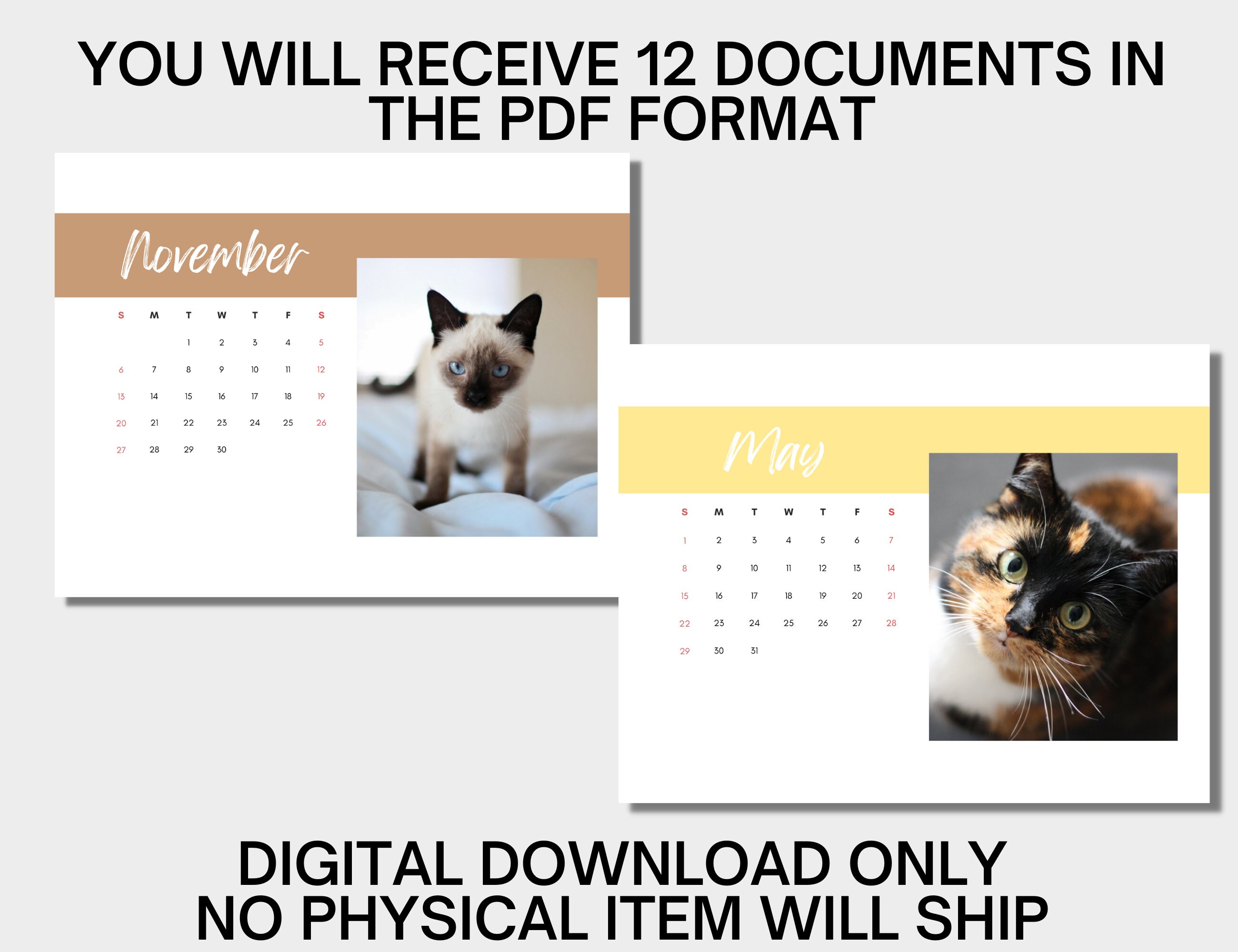 2025 Cat Printable Calendar, 2025 Printable Cat Calendar, Printable Cat Photo Calender, Cat