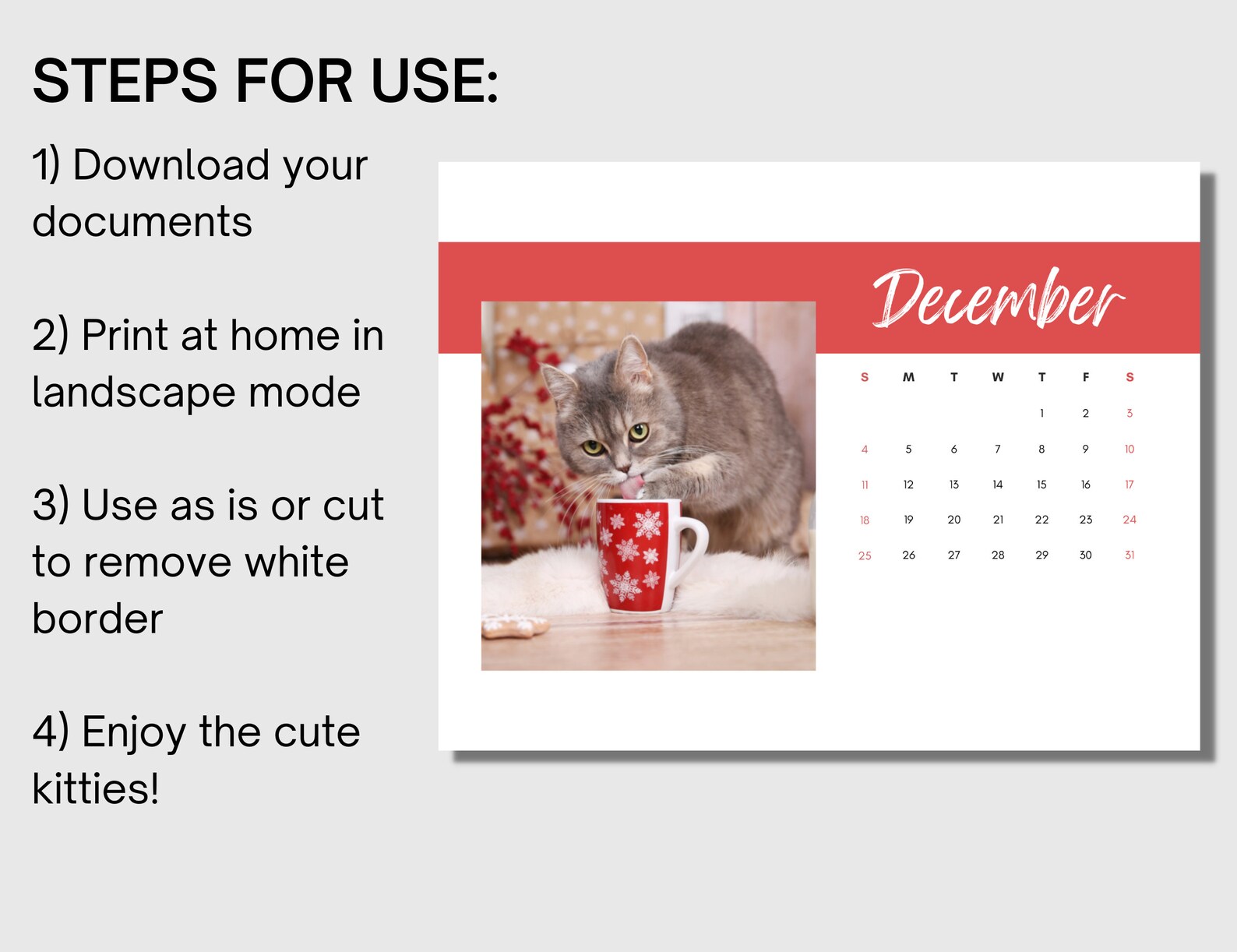 2024 Cat Printable Calendar, 2024 Printable Cat Calendar, Printable Cat