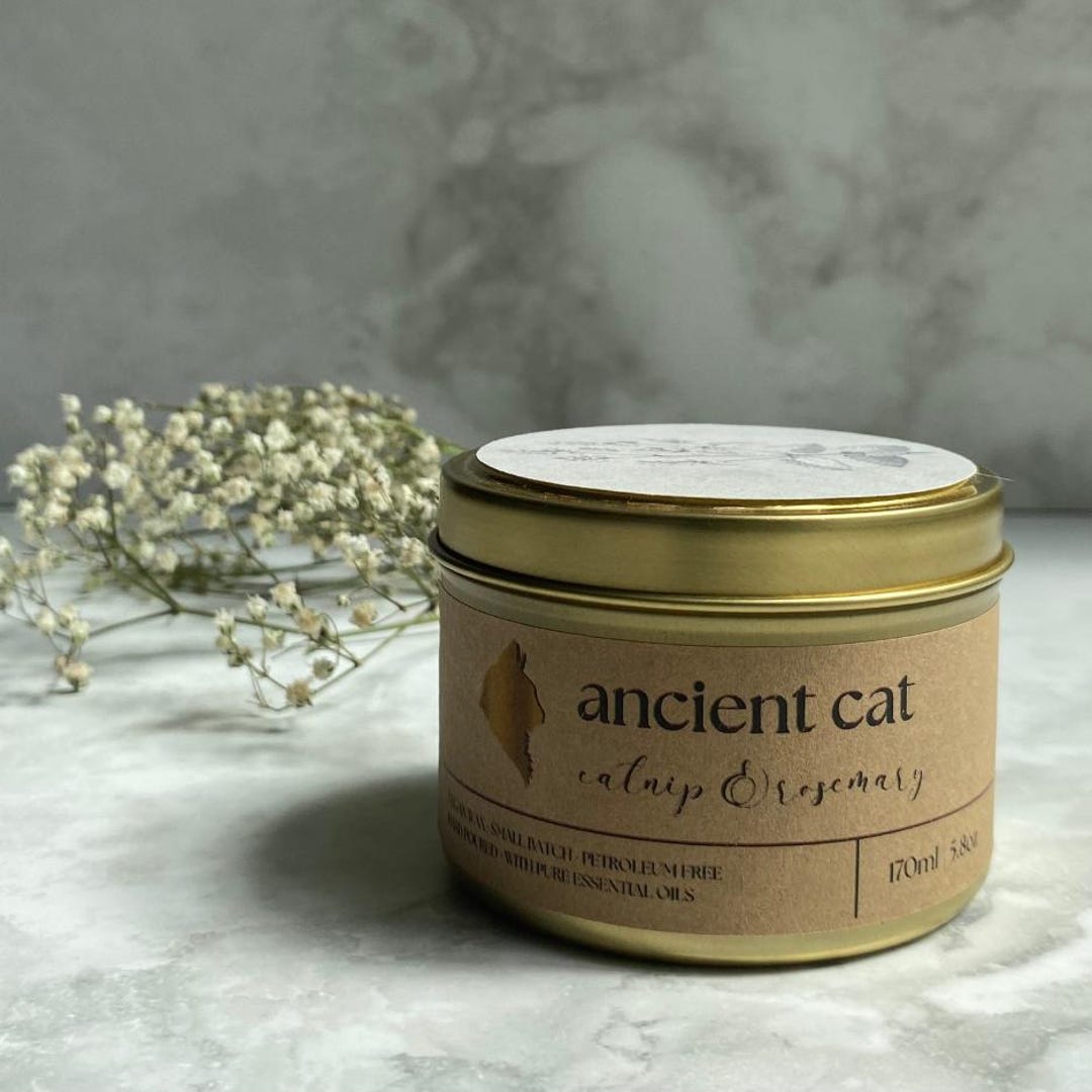 Curated visual reference: Visual Reference: Catnip Rosemary Candle Cat Candle Pet Friendly