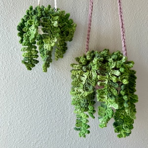 Crochet Fern Plant, Hanging Plant, Home Decor Gift