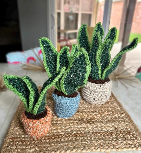 outdoor pots for succulents Succulent Bowl Set of 3