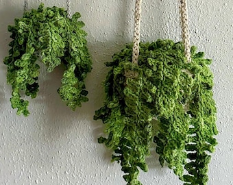 Crochet Fern Plant, Hanging Plant, Home Decor Gift