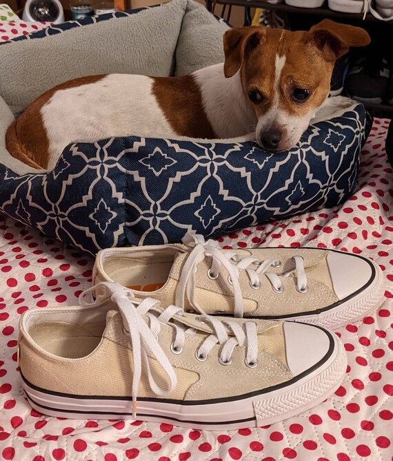 converse ctas sjo pro