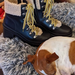 steve madden zeronite high top