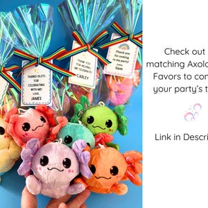 May include: Colorful axolotl plush keychains in clear cellophane bags tied with rainbow ribbons. Each bag has a personalized tag. Text on the image says "You made my day axo-lotl of fun!" and "Check out our matching Axolotl Party Favors".