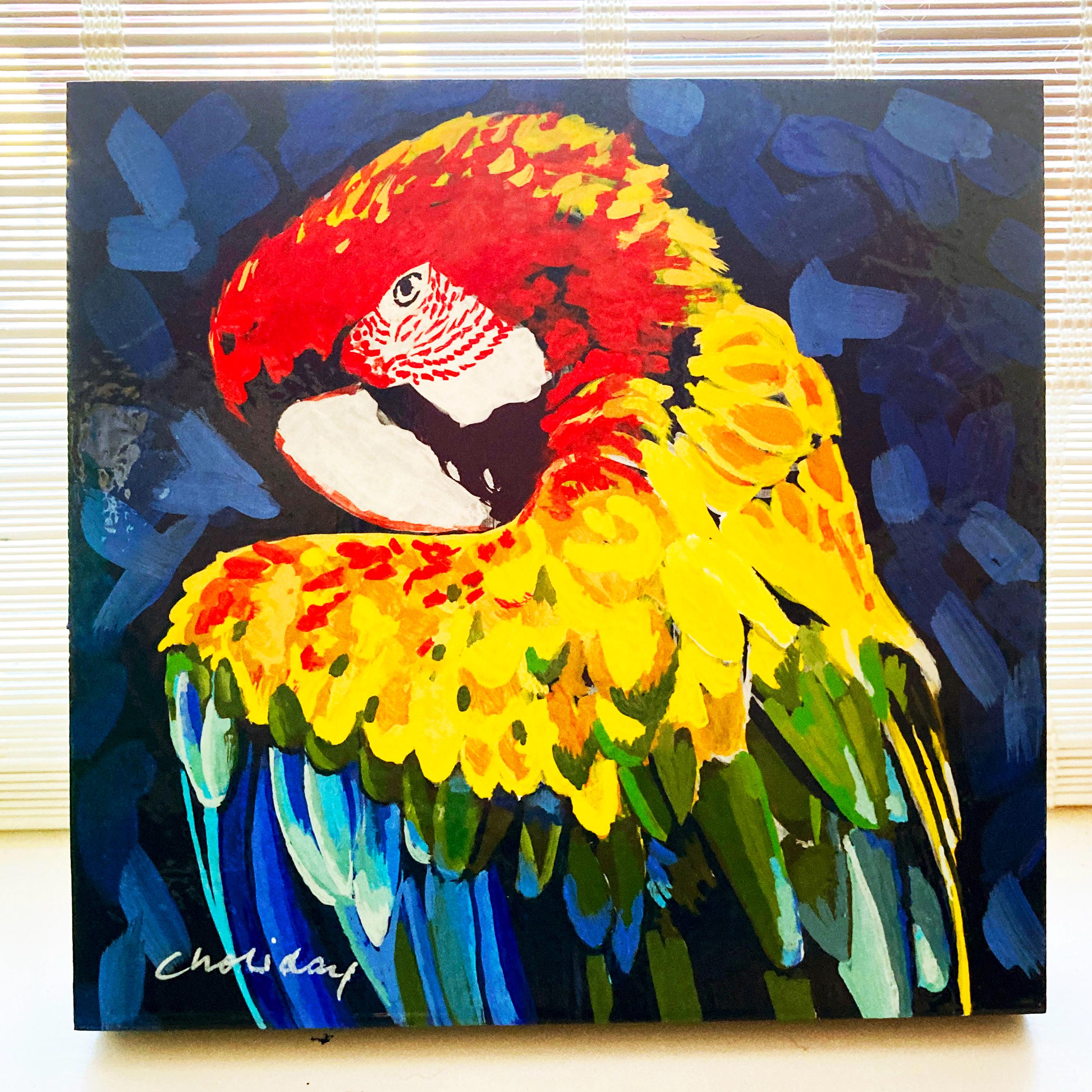 Bright Colorful PARROT 6