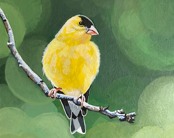 Vibrant Yellow GOLDFINCH Bird Realistic Giclee Art Print of Hand-painted Acrylic Painting