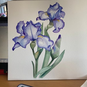 May include: Watercolor painting of purple iris flowers with green leaves and buds on a white background.