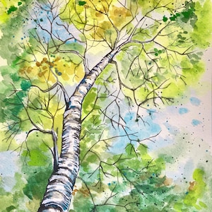 Original Artwork Watercolor Painting &quot;Skyward Bound&quot; 8x10 Aspen Birch Tree