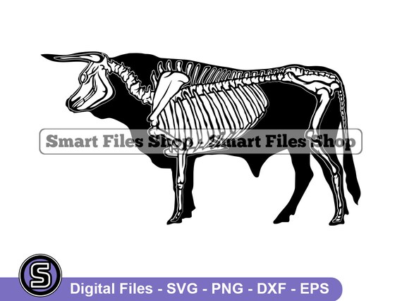 Bull Skeleton SVG Bull Svg Cattle Svg Butcher Svg Bull Dxf Bull Png Bull Clipart Bull Files Eps Etsy