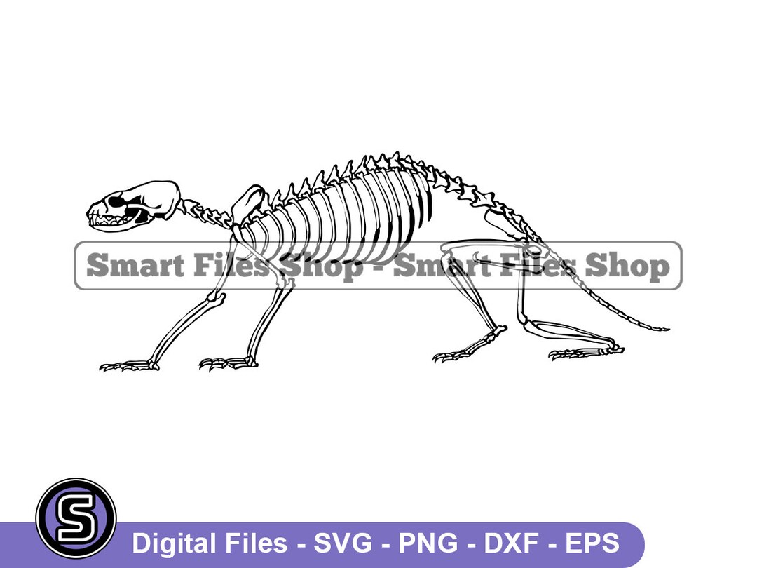 Ferret Skeleton 3 Svg, Ferret Svg, Forest Animals Svg, Ferret Dxf