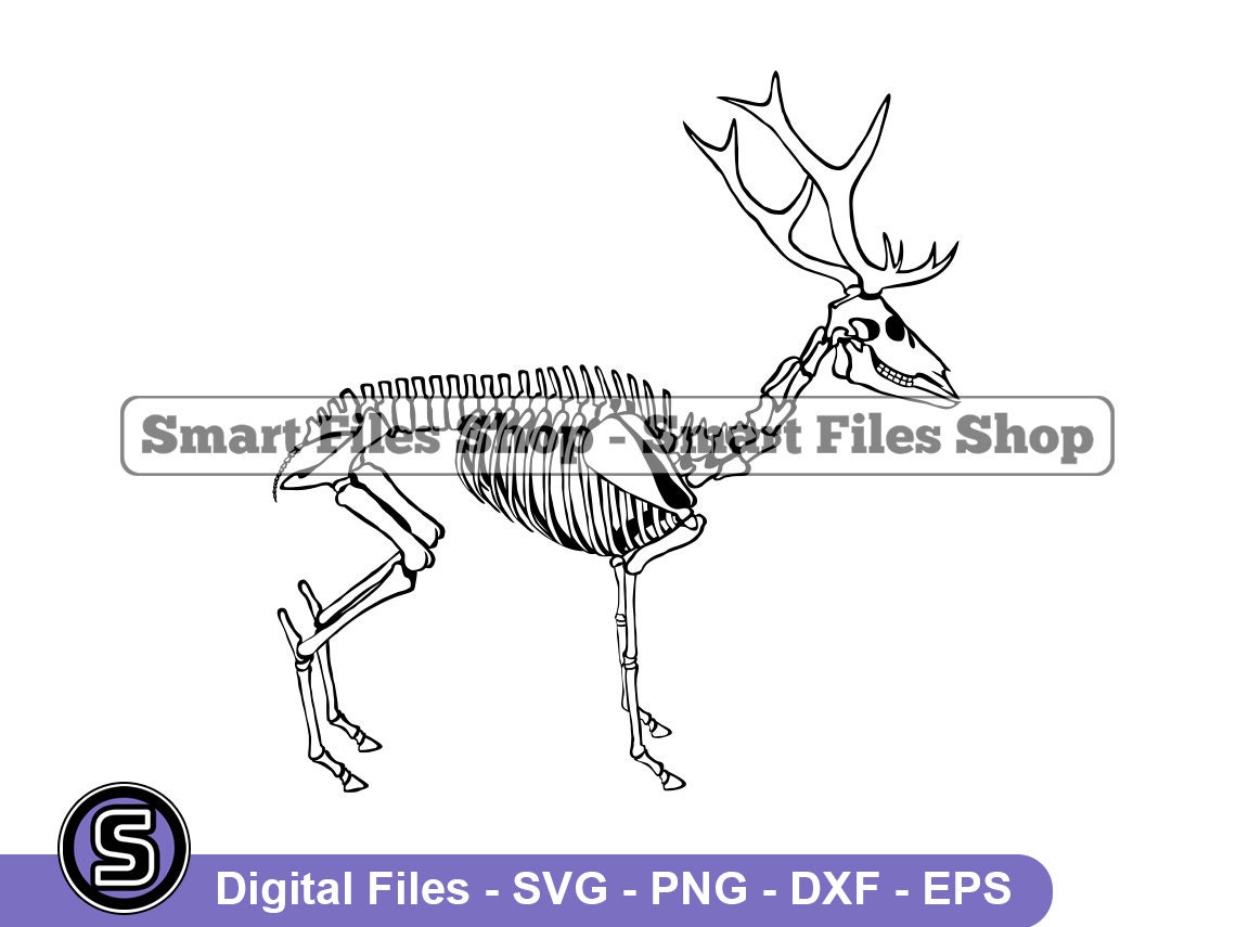 Esqueleto de ciervo - Etsy México, image size:1140x855