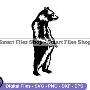 Standing Bear Funny Svg, Bear Svg, Funny Bear Svg, Bear Dxf, Bear Png, Bear Clipart, Bear Files, Bear Eps