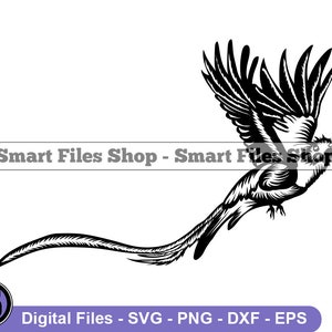 Quetzal Svg, Bird Svg, Bird Design Svg, Bird Dxf, Bird Png, Bird Clipart, Bird Files, Eps