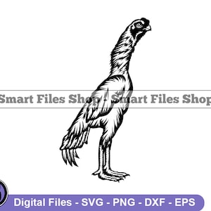 Shamo Rooster Svg, Rooster Dxf, Rooster Png, Rooster Clipart, Rooster Files, Rooster Eps