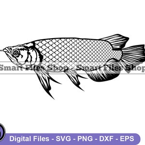 Arowana Svg, Fish Svg, Fishing Svg, Arowana Dxf, Arowana Png, Arowana Clipart, Arowana Files, Arowana Eps