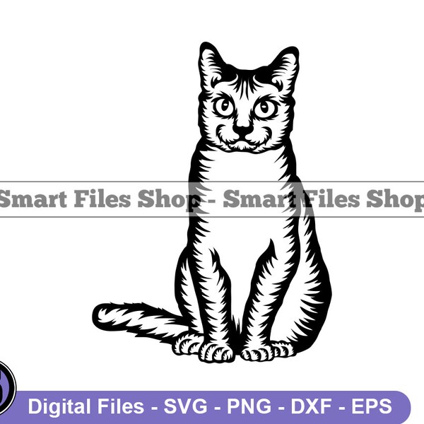Chartreux Cat #2 SVG, Chartreux Cat Svg, Cat Svg, Pet Svg, Cat Dxf, Cat Png, Cat Clipart, Cat Files, Cat Eps