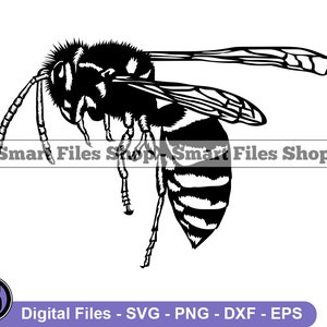 Wasp #4 Svg, Wasp Svg, Insect Svg, Bug Svg, Wasp Mascot Svg, Wasp Dxf, Wasp Png, Wasp Clipart, Wasp Files, Eps