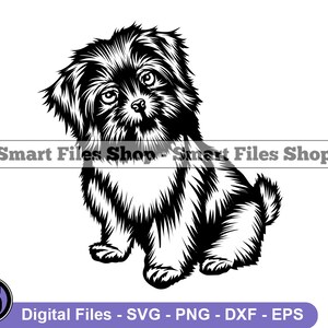 Sentado Shorkie SVG, Shorkie Svg, Perro Svg, Shorkie Dxf, Shorkie Png, Shorkie Clipart, Shorkie Files, Shorkie Eps