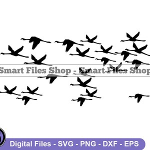 Puede incluir: Silueta negra de una bandada de pájaros volando en formación. Los pájaros están todos mirando en la misma dirección y tienen las alas extendidas. La imagen está sobre un fondo blanco.