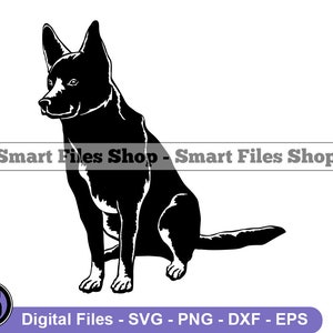 Sitting Australian Kelpie SVG, Australian Kelpie Svg, Dog Svg, Australian Kelpie Dxf, Australian Kelpie Png, Clipart, Files, Eps