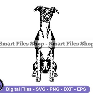 Sitting Whippet SVG, Whippet Svg, Dog Svg, Whippet Dxf, Whippet Png, Whippet Clipart, Whippet Files, Whippet Eps