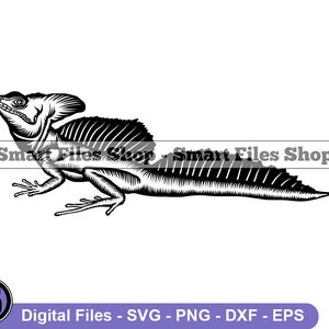 May include: Black and white silhouette of a lizard with a frilled neck. The lizard is facing to the right and has a long tail.