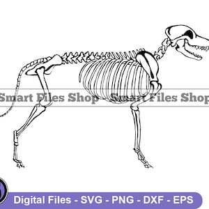 Dog Skeleton #3 Svg, Dog Svg, Kanine Svg, Dog Skeleton Dxf, Dog Skeleton Png, Dog Skeleton Clipart, Dog Skeleton Files, Dog Skeleton Eps