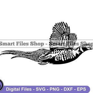 Pheasant #6 SVG, Pheasant SVG, Pheasant Dxf, Pheasant Png, Pheasant Clipart, Pheasant Files, Eps