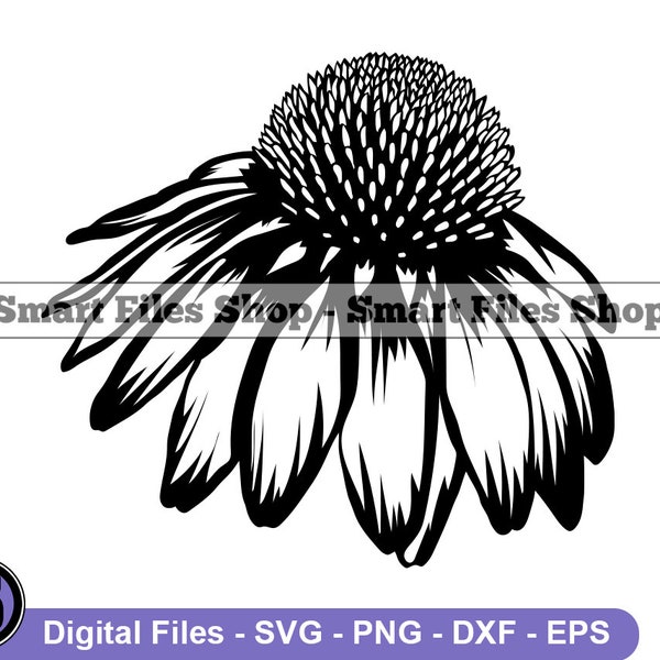 Coneflower Flower SVG, Coneflower SVG, Flower Svg, Flower Dxf, Flower Png, Flower Clipart, Flower Files, Flower Eps