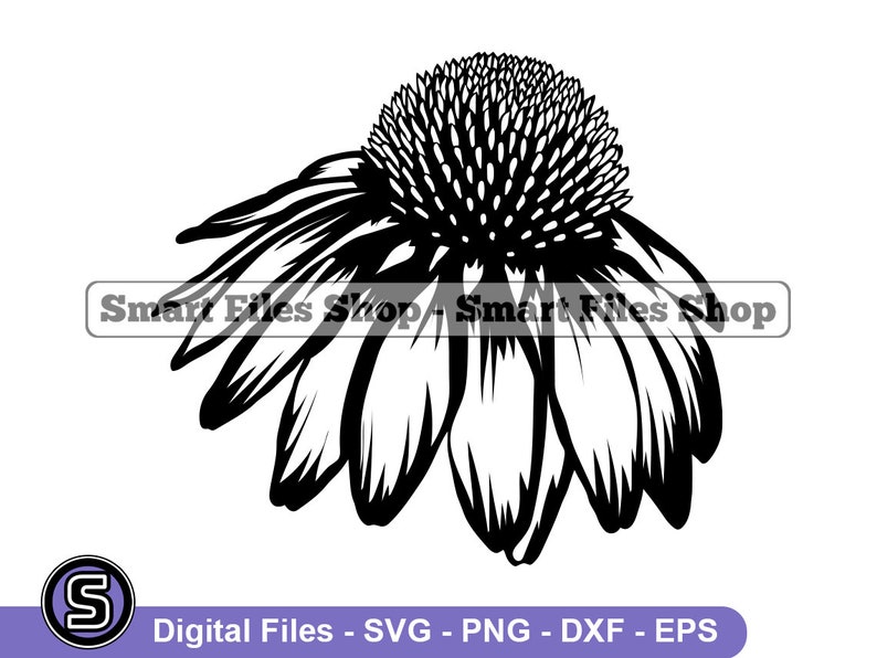 Coneflower Flower SVG, Coneflower SVG, Flower Svg, Flower Dxf, Flower Png, Flower Clipart, Flower Files, Flower Eps image 1